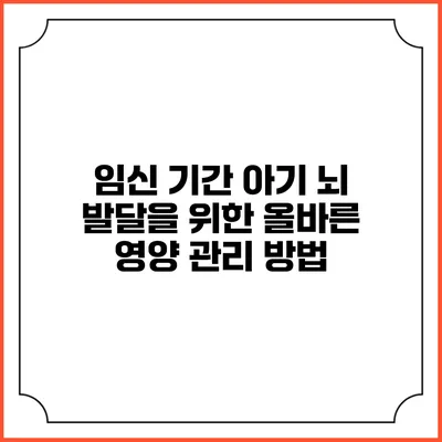 임신 기간 아기 뇌 발달을 위한 올바른 영양 관리 방법