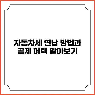 자동차세 연납 방법과 공제 혜택 알아보기