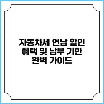 자동차세 연납 할인 혜택 및 납부 기한 완벽 가이드