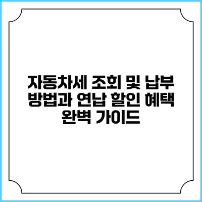 자동차세 조회 및 납부 방법과 연납 할인 혜택 완벽 가이드
