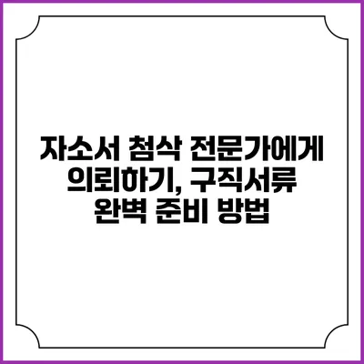 자소서 첨삭 전문가에게 의뢰하기, 구직서류 완벽 준비 방법