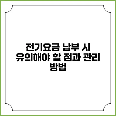 전기요금 납부 시 유의해야 할 점과 관리 방법
