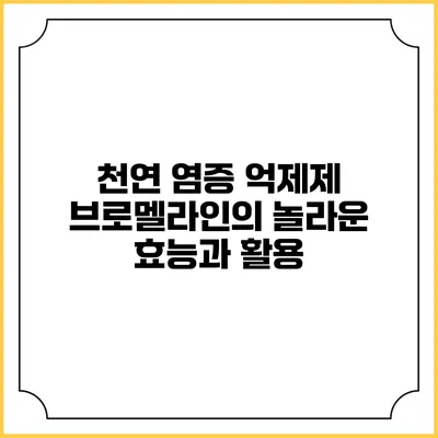 천연 염증 억제제 브로멜라인의 놀라운 효능과 활용