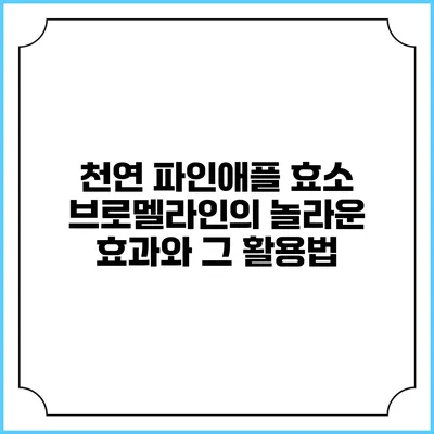 천연 파인애플 효소 브로멜라인의 놀라운 효과와 그 활용법