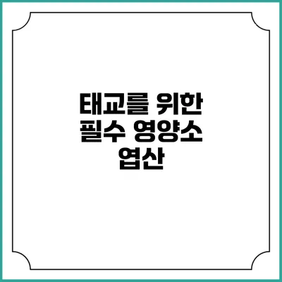 태교를 위한 필수 영양소: 엽산