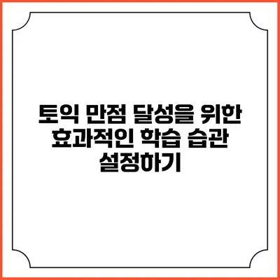 토익 만점 달성을 위한 효과적인 학습 습관 설정하기