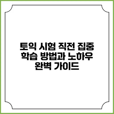 토익 시험 직전 집중 학습 방법과 노하우 완벽 가이드