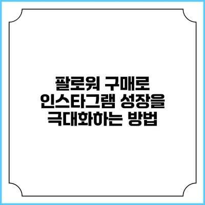 팔로워 구매로 인스타그램 성장을 극대화하는 방법
