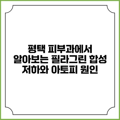 평택 피부과에서 알아보는 필라그린 합성 저하와 아토피 원인