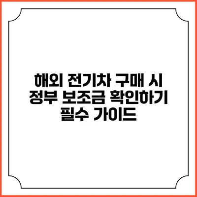 해외 전기차 구매 시 정부 보조금 확인하기: 필수 가이드