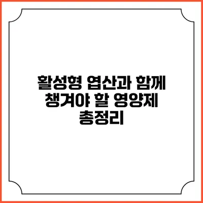 활성형 엽산과 함께 챙겨야 할 영양제 총정리