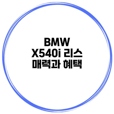BMW X540i 리스 매력과 혜택