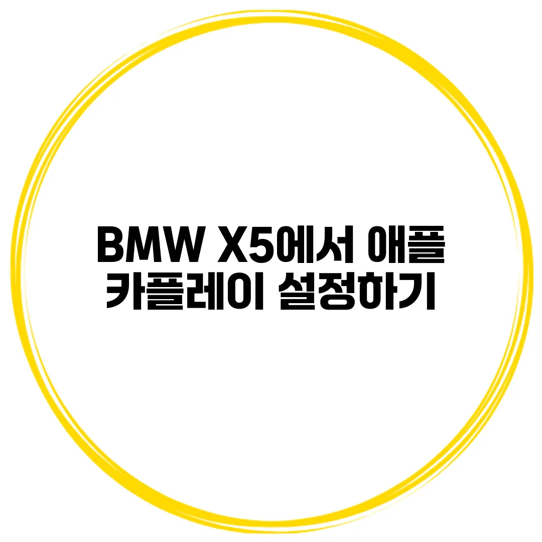 BMW X5에서 애플 카플레이 설정하기