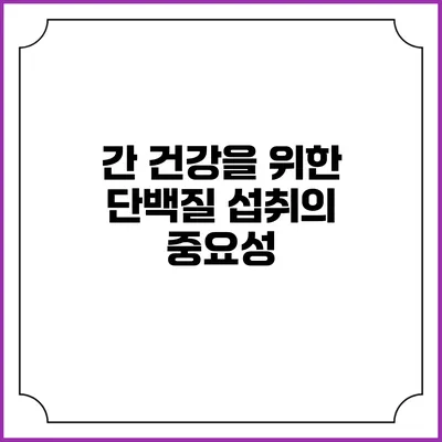 간 건강을 위한 단백질 섭취의 중요성