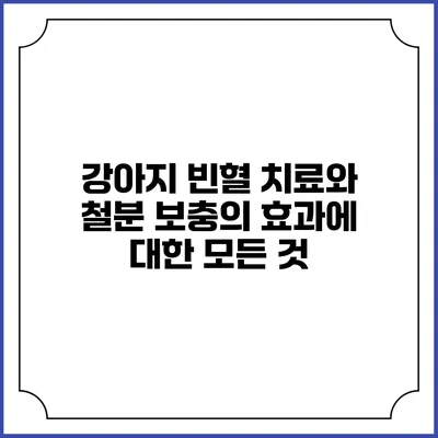 강아지 빈혈 치료와 철분 보충의 효과에 대한 모든 것