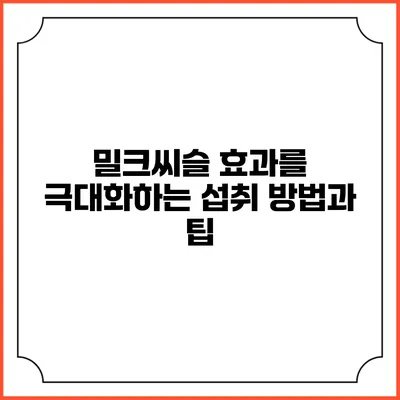 밀크씨슬 효과를 극대화하는 섭취 방법과 팁
