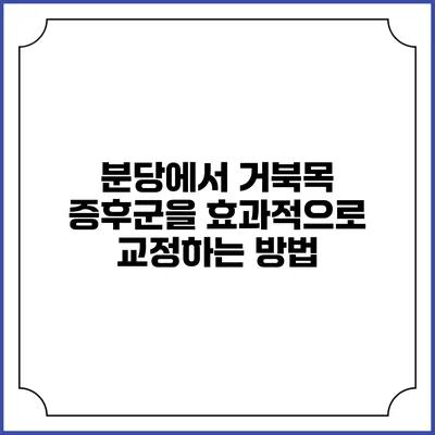 분당에서 거북목 증후군을 효과적으로 교정하는 방법