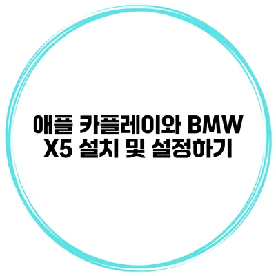 애플 카플레이와 BMW X5 설치 및 설정하기