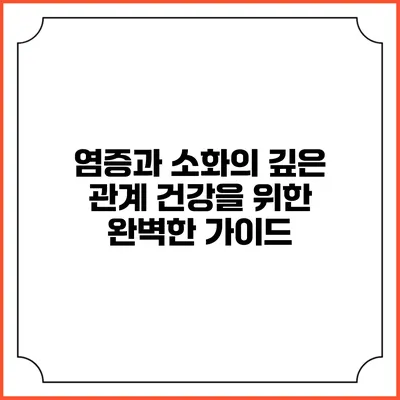 염증과 소화의 깊은 관계: 건강을 위한 완벽한 가이드