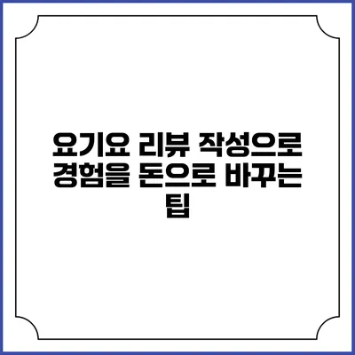 요기요 리뷰 작성으로 경험을 돈으로 바꾸는 팁
