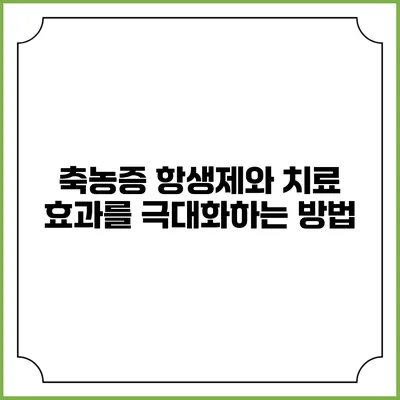 축농증 항생제와 치료 효과를 극대화하는 방법
