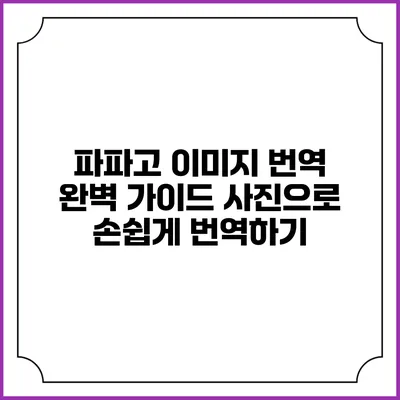 파파고 이미지 번역 완벽 가이드: 사진으로 손쉽게 번역하기