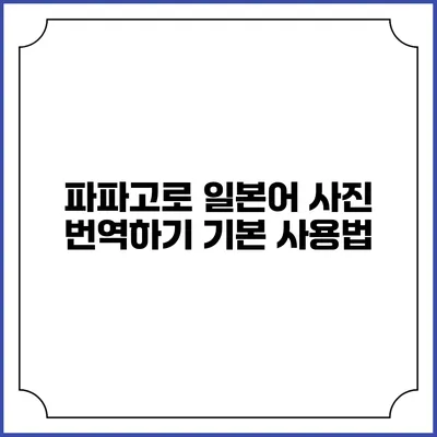 파파고로 일본어 사진 번역하기 기본 사용법